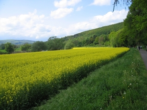 Lichtenau046
