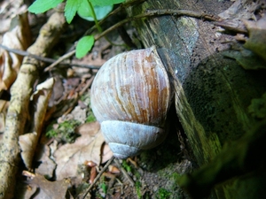P1040217