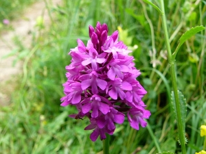 P1040269