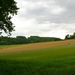 P1040300