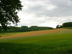 P1040300
