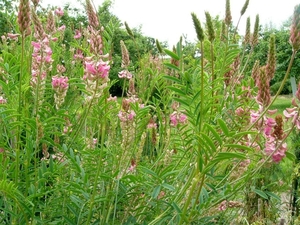 P1040317