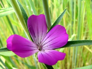 P1040322