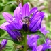 P1040328b