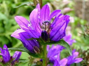 P1040328b
