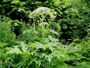 P1040332