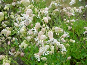 P1040333