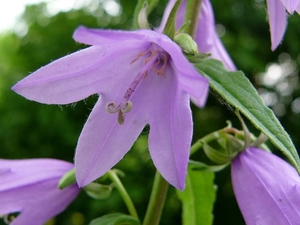P1040335
