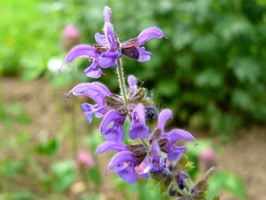 P1040336