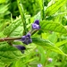 P1040343