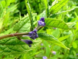 P1040343