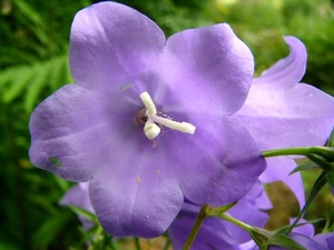 P1040345