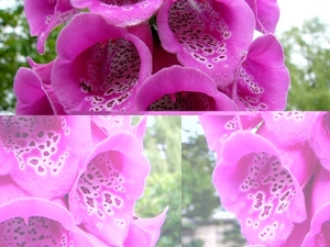 P1040353
