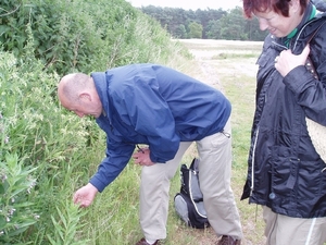 05 - 06 - 05 HEIDEHUIZEN 02