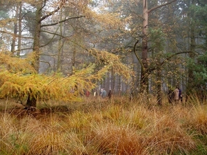 05 - 11 - 19 Dagwandeling 07
