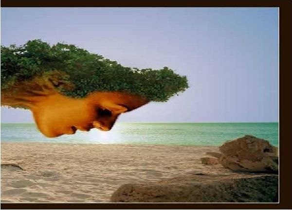 boom met vrouwgezicht