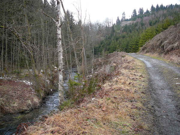 Langs de  Ruisseau de Chevral