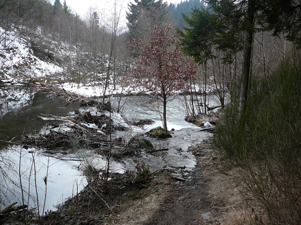 Klimmen of teruggaan.