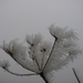 DSC04206