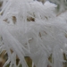 DSC04208