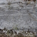 DSC04215