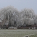 DSC04230