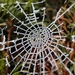 DSC04239