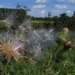 De Dender (Ready To Take Off)