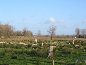 De Dender tss Okegem en Liedekerke