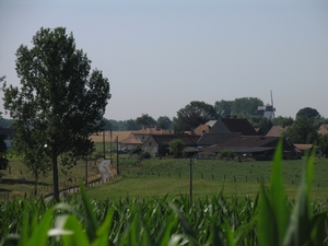 Denderwindeke - Korenbergmolen  - Molen Ter Zeven Wegen (1)