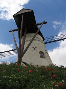 Denderwindeke - Korenbergmolen  - Molen Ter Zeven Wegen (8)