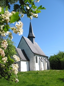 Heilig-Kruiskapel van de Woestijn te  Gooik