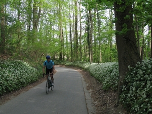 Meerbeke, Roosdaal -  Berchembos