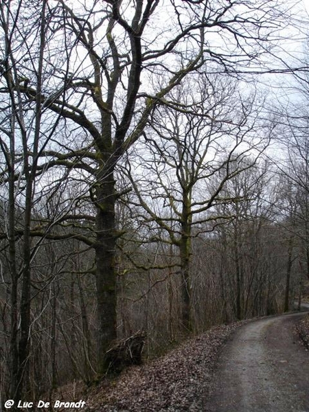 ardennen adeps wandeling olloy sur viroin