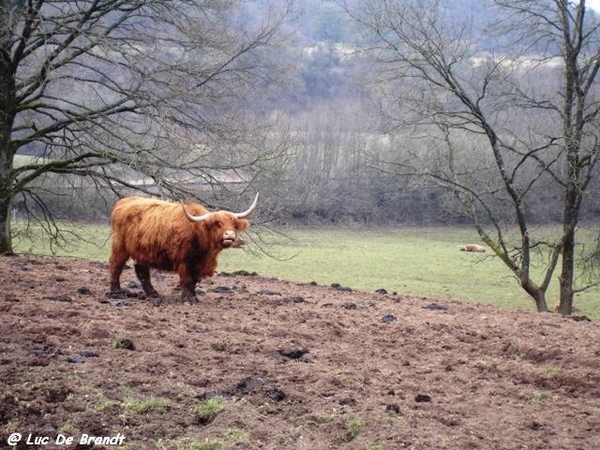 ardennen adeps wandeling olloy sur viroin