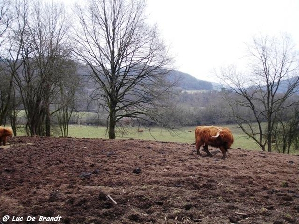 ardennen adeps wandeling olloy sur viroin