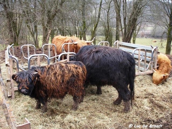 ardennen adeps wandeling olloy sur viroin