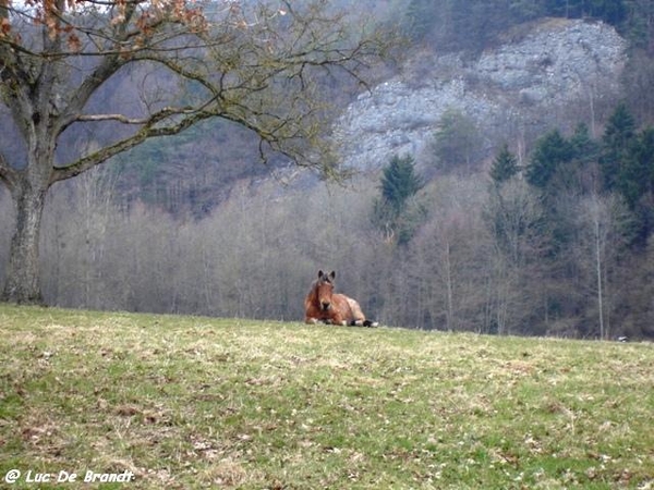 ardennen adeps wandeling olloy sur viroin