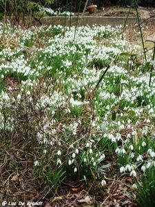 2010_03_14 Olloy-sur-Viroin 53