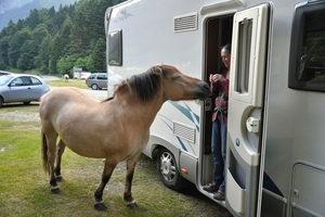 Pyreneen 2009