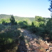 Pyreneen 2009