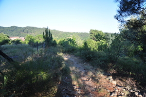 Pyreneen 2009