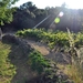 Pyreneen 2009