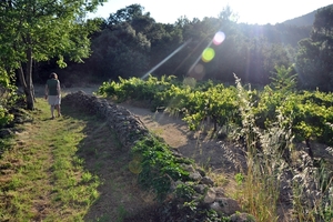 Pyreneen 2009