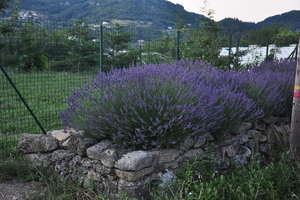 Pyreneen 2009