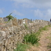 Cap de Carteret005