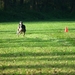 beringen  oktober 2008 004