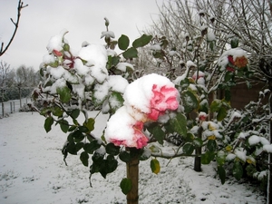 IMG_1012zondag