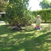 DSCN1022-1