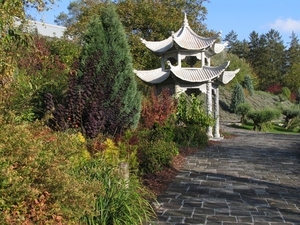 Chinese Tuin